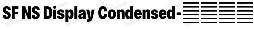 SF NS Display Condensed字体转换